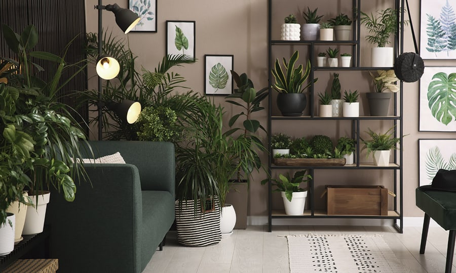 decorar con plantas02 orsal.com