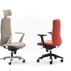 Wing | Delaoliva ® - Imagen 2